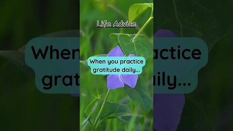 When you practice gratitude daily… #lifeadvice #quotes #life #advice #shorts
