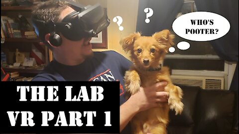 We meet POOTER! - The LAB VR on the Valve Index
