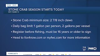 Stone crab season starts today