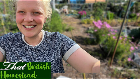 August Allotment Garden Tour: Gardening in a drought