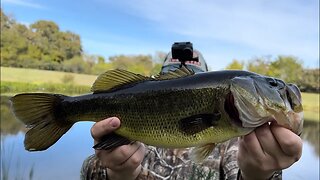 New Lake Record Bass! (HUGE)