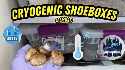 Shoeboxes in the FRIDGE for 3 Weeks! What Happened? Long-Term TUB Storage, Mycology