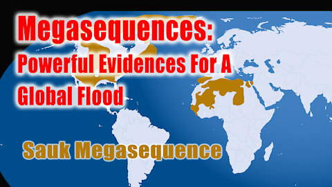 Megasequences: Powerful Evidence There Was A Global Flood