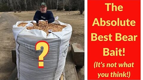The Absolute Best Bear Bait in Bear Hunting