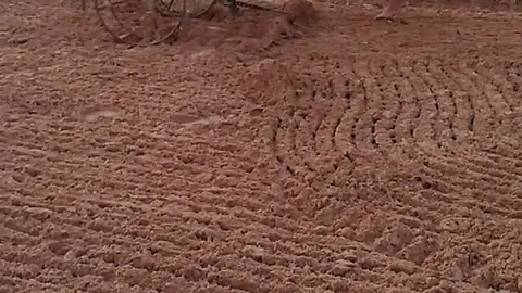 Little Boy Does A Great Job Plowing The Field