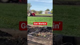 Working Dirt Old School #shorts #ford #tractor #homesteading #gardening