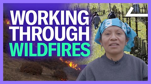 Farmworkers Work Through Wildfires In California's Wine Country