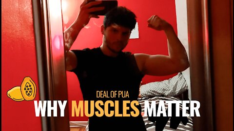 WHY MUSCLES MATTER ( DEAL OF PUA )🍑