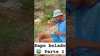 sapo bolado 🐸 os ladrões de laranja 🍊 parte 1#comedia#engraçados