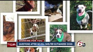 Dogs secretly euthanized in Richmond; animal shelter workers angry