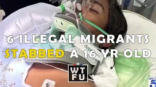 6 illegal migrants jumped stomped and stabbed a 16-year-old Black American child