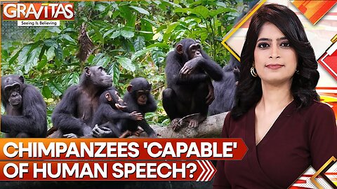 Gravitas: Study finds Chimpanzees maybe able to speak like humans | World News | WION| RN