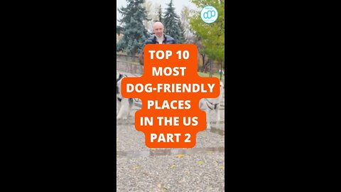 Top 10 Most Dog-Friendly Places in the US Part 2