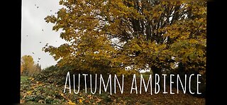 AUTUMN AMBIENCE 2023