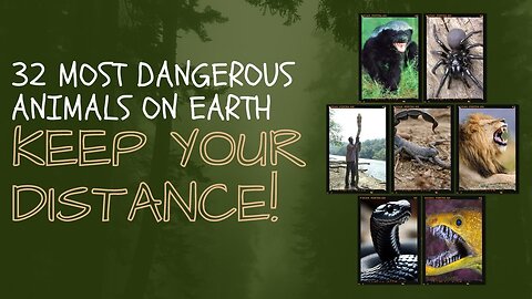 32 Most Dangerous Animals on Earth : Keep Your Distance! | #DangerousAnimals #Wildlife #Nature