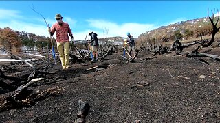 Volunteer in the Outdoors! // VOC