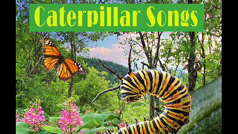 Caterpillar Songs