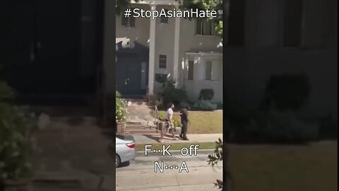 BLACK MAN SAVES ASIAN GRANDPA FROM BULLY