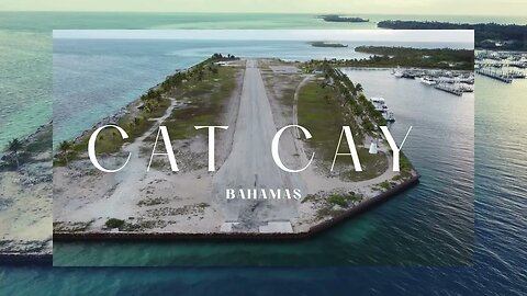 Exploring the Hidden Paradise of Cat Cay: A Feline Adventure #travelvlog #bahamas