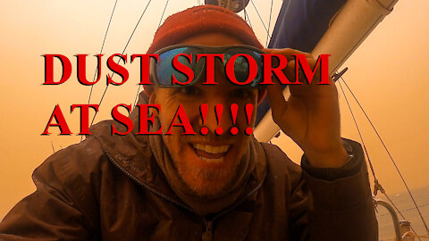 Shark bay storm - Ep 16