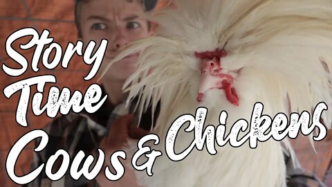 Let Me Tell You a Story!!!/ Chicken Coop For Under 100 Bucks/ BIG Homestead Update/ Family Farm Life