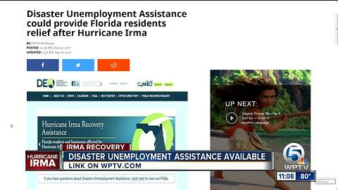 Disaster Unemployment Assistance could provide Florida residents relief after Irma