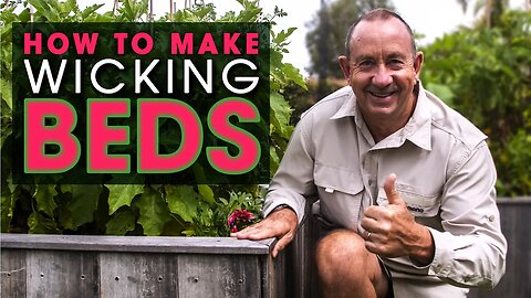 My EASY Wicking Bed System ( IBC ) - Drought Proof Gardening