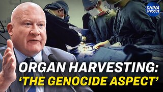 ‘Organ Harvesting Is the Genocide Aspect’: Expert