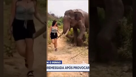 RESPEITA OS ANIMAIS