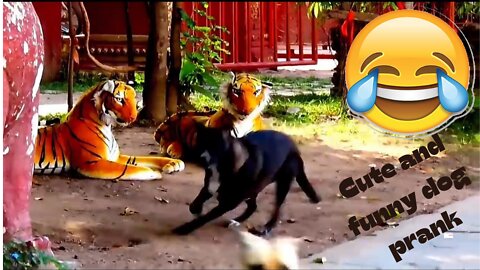 Trending now| dog gets scared of fellow animals in a prank 2022 - funny video