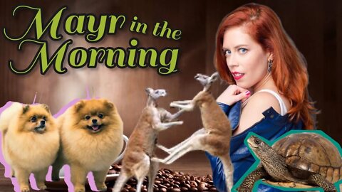 Chrissie Mayr in the Morning! International Dog Day! Turtle Trafficking! Kangaroo Fight! NYC Looting