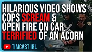 Hilarious Video Shows Cops SCREAM OPEN FIRE On Vehicle TERRIFIED Of An Acorn