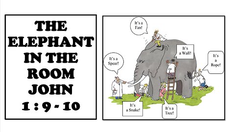 The Elephant In The Room John 1: 9-13