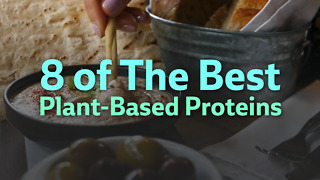 Fifteen best plant-based proteins