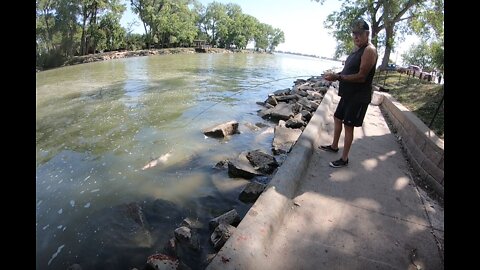 Channel Catfish - July 19, 2022