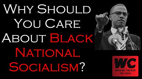 Why Should You Care About Black National Socialism?