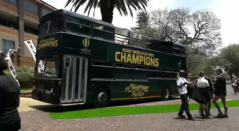 SOUTH AFRICA - Johannesburg - Springbok Rugby World Cup Trophy Tour (Video) (SZo)