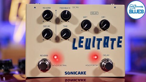 The Ultimate $55 Dual Reverb and Delay Pedal on the Market!?