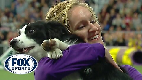P!nk, the Border Collie, Secures Consecutive Victories at the 2019 WKC Masters Agility Championship