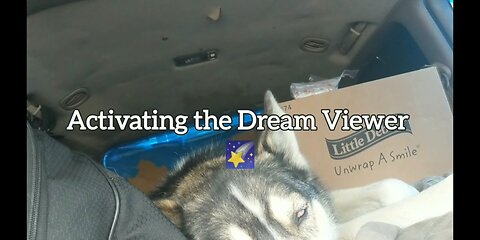 Activating Dream Viewer 2.0