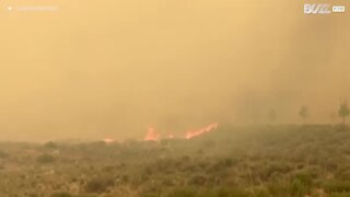 EUA: Incêndio devastador queima mais de 10 mil hectares