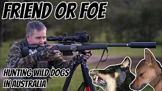 Friend or Foe - The Never Ending Battle with Wild Dogs in Australia