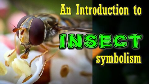 An Introduction to Insect symbolism
