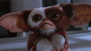 82 Stupid Things You Didn't Notice in 'Gremlins'