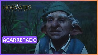 ACARRETADO | HOGWARTS LEGACY