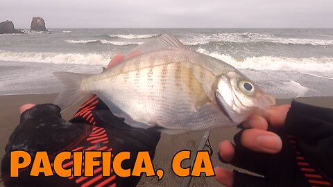 Surf Fishing Up In NorCal :D! Pacifica CA