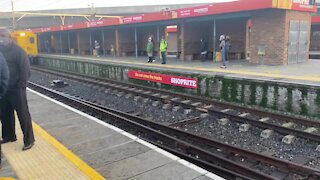 SOUTH AFRICA - Cape Town - Metrorail resumes limited train service under lockdown level 3(Video) (Bzx)