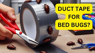 Does Duct Tape Work For Bed Bugs?