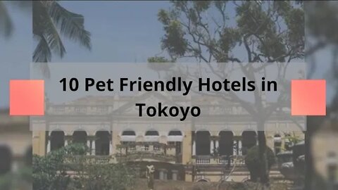10 Pet Friendly Hotels In Tokyo