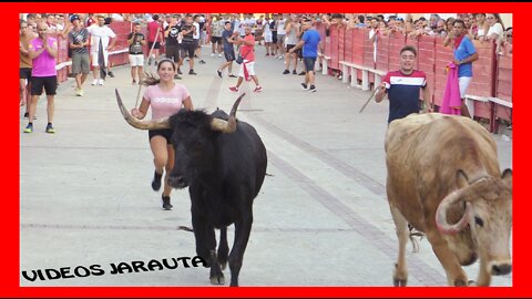 CADREITA ( NAVARRA ) TARDE Y NOCHE VACAS CALLE ( SABADO 23 JULIO 2022 ) PEDRO DOMINGUEZ